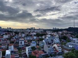 Bukit Timah Shopping Centre (D21), Shop House #513860061